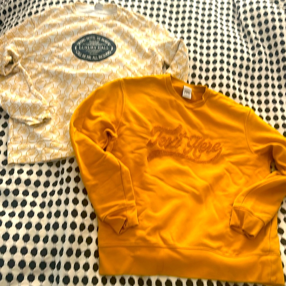Zara Men’s Sweatshirts